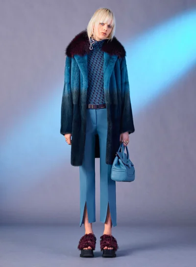 Look 29